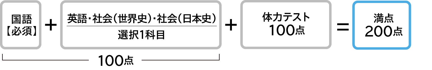 体育学部　体力評価型