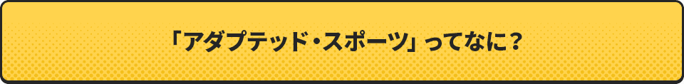 「アダプテッド・スポーツ」ってなに？