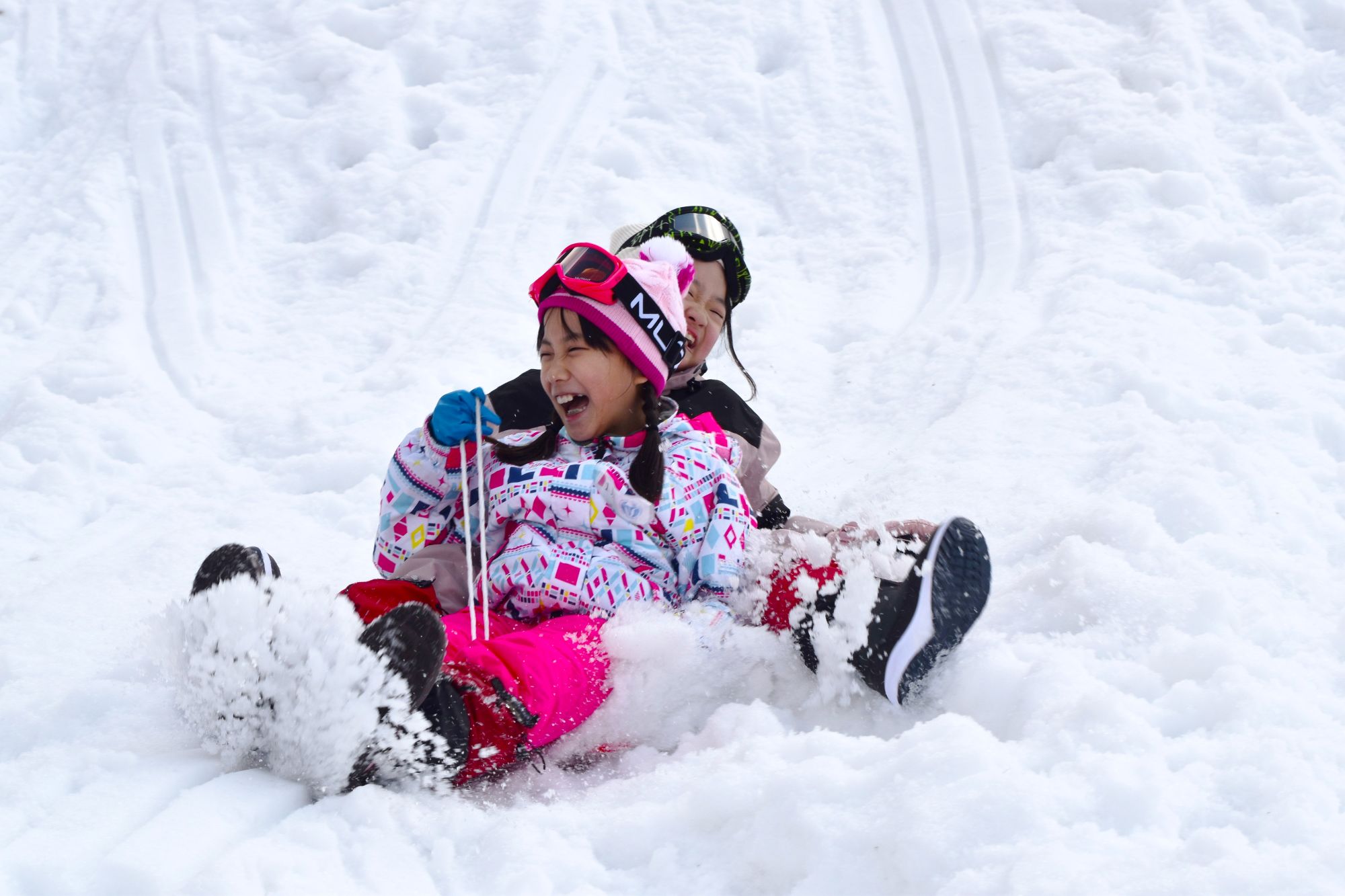 そり遊び　雪の斜面を滑り降りる