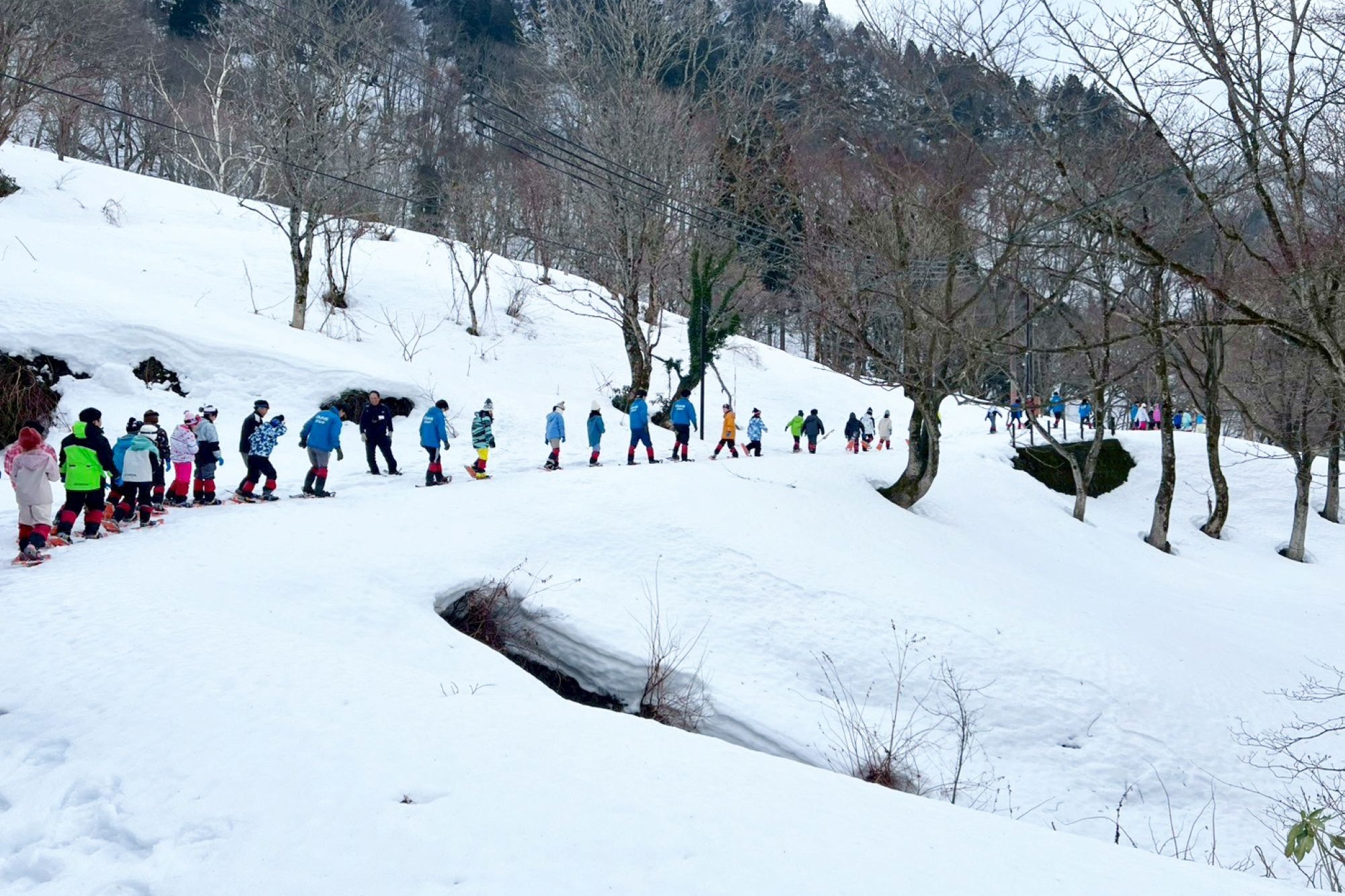 冬山の動植物を探し、ハイキング