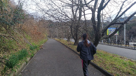 おすすめジョギングコース熊取町永楽ダム