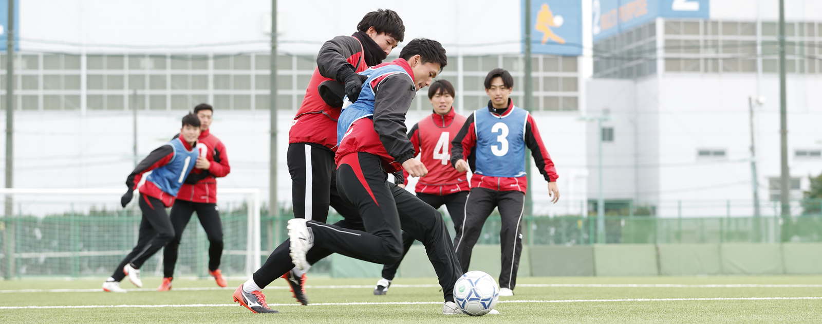 サッカー場 人工芝 大阪体育大学