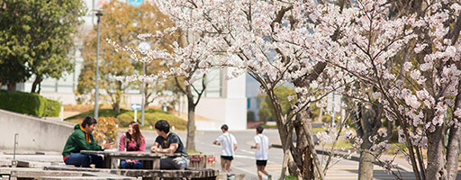 キャンパスライフ