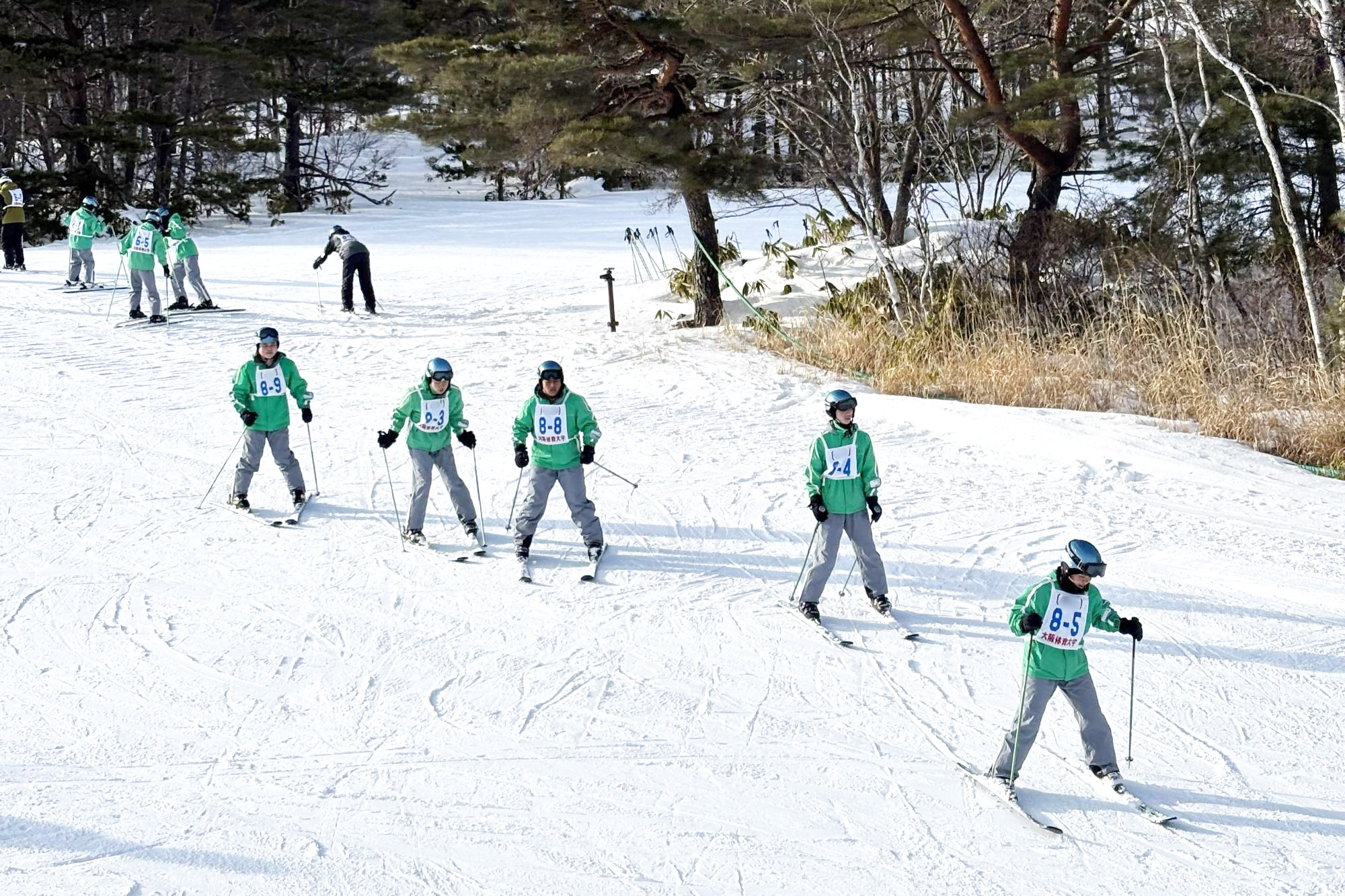 互いに様子を見ながらみんなで滑ります