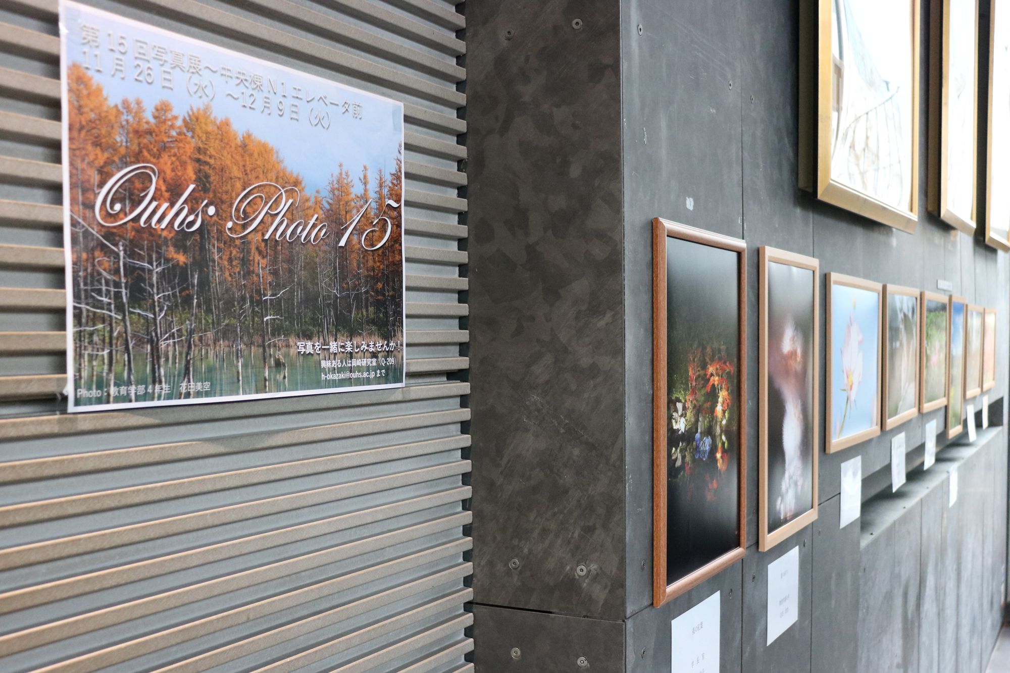 風景、植物、昆虫など鮮やかな写真を展示