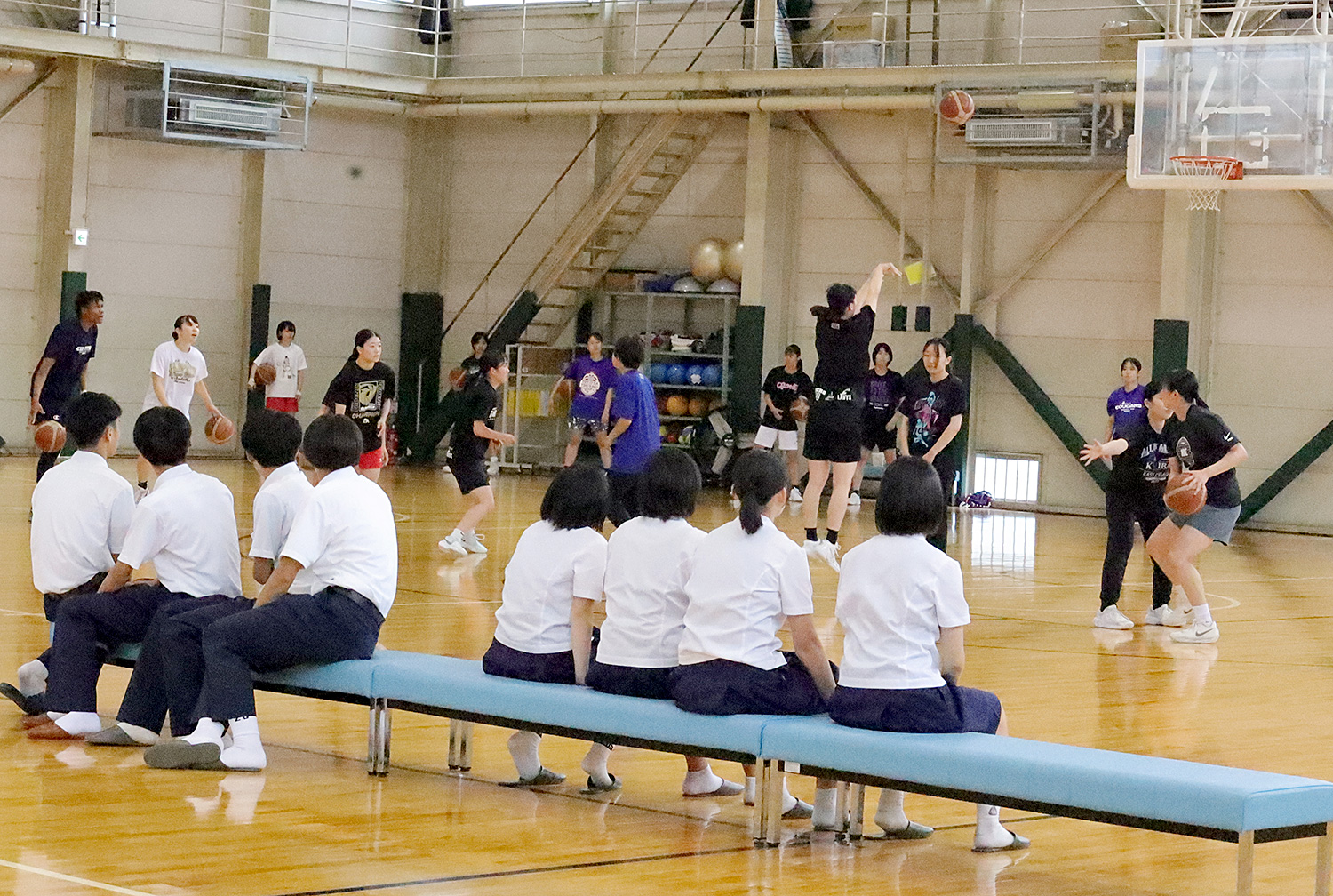 バスケットボール部のクラブ見学