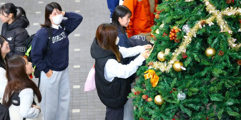 大きなツリーに学生が飾り付け