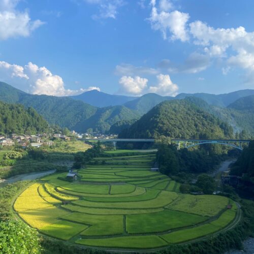 あらぎ島【小倉将輝】