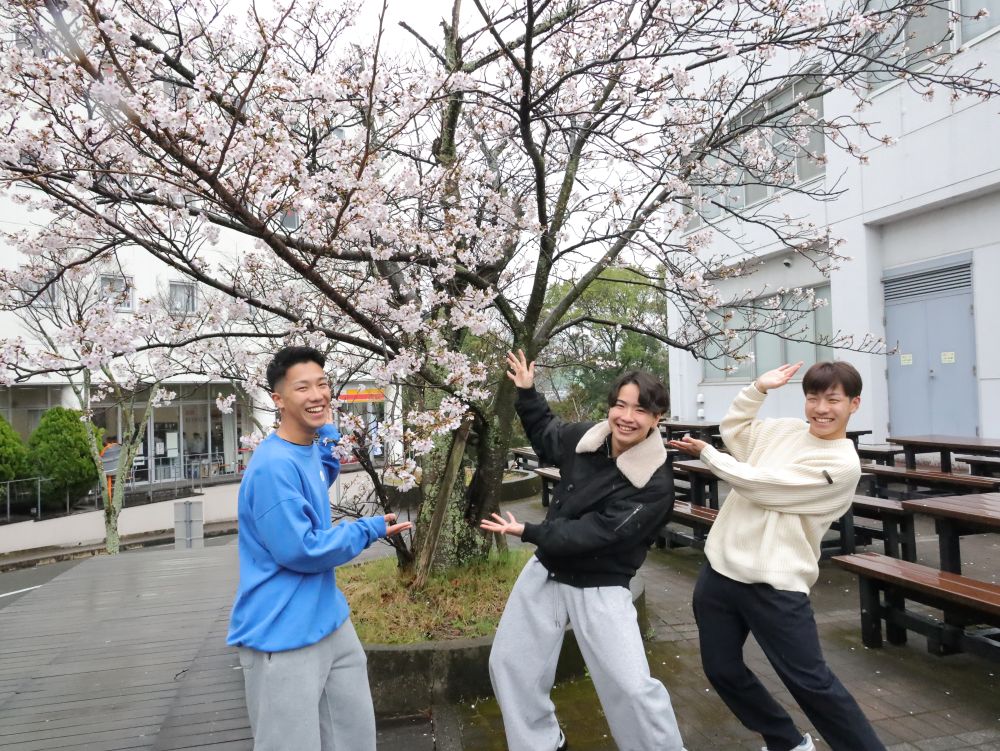 桜も新入生をお出迎え