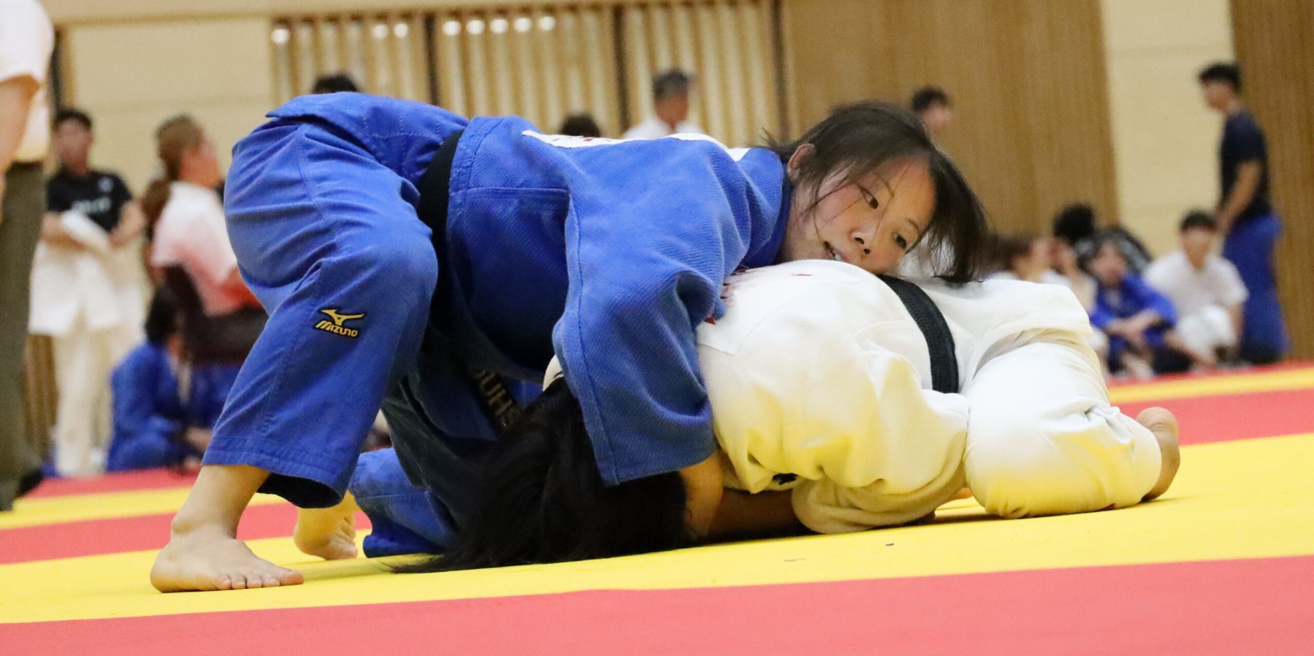 女子57㌔級・増子和奏(わかな、スポーツ科学部4年、東大阪大学敬愛高校)
【大阪体育大学】