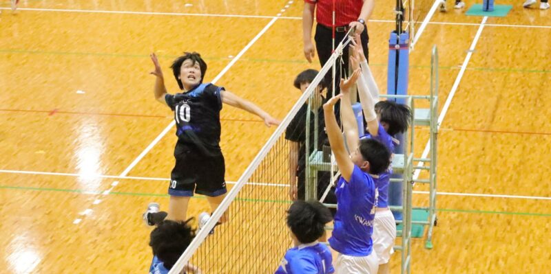 高岡航輝(スポーツ科学部3年、兵庫・神戸学院大学附属高校) 【大阪体育大学】