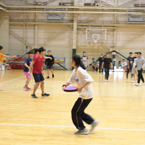 ドッジビー試合