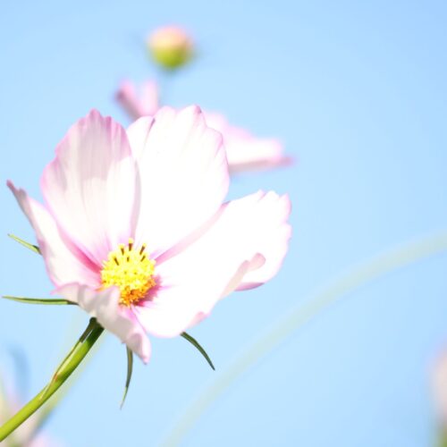 秋のはじまり【教育学部教授　松本直子】