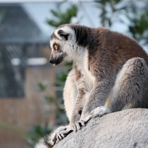 ちょっと休憩【松本直子】