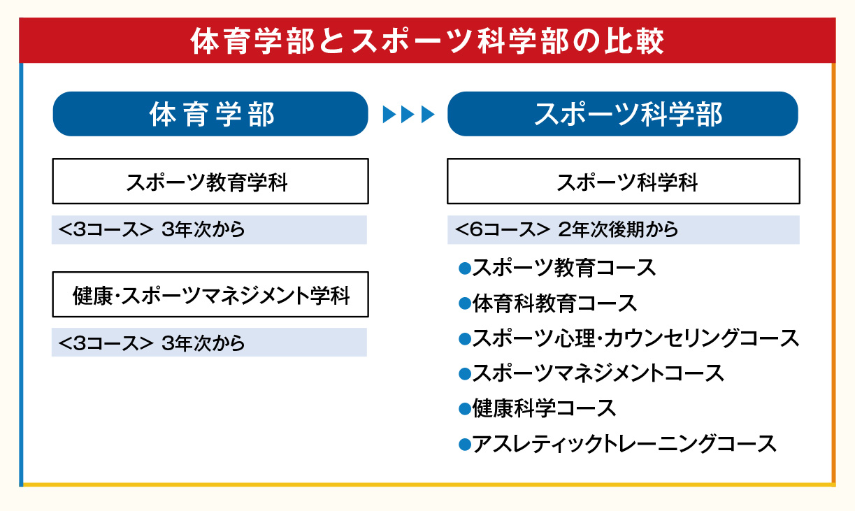 体育学部とスポーツ科学部の比較画像