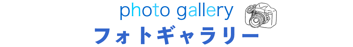 フォトギャラリー