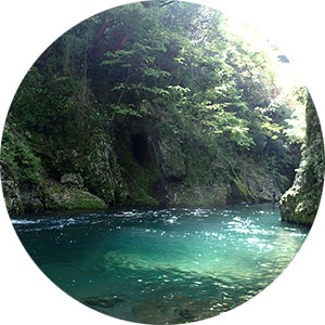 カウンセラー髙橋幸治